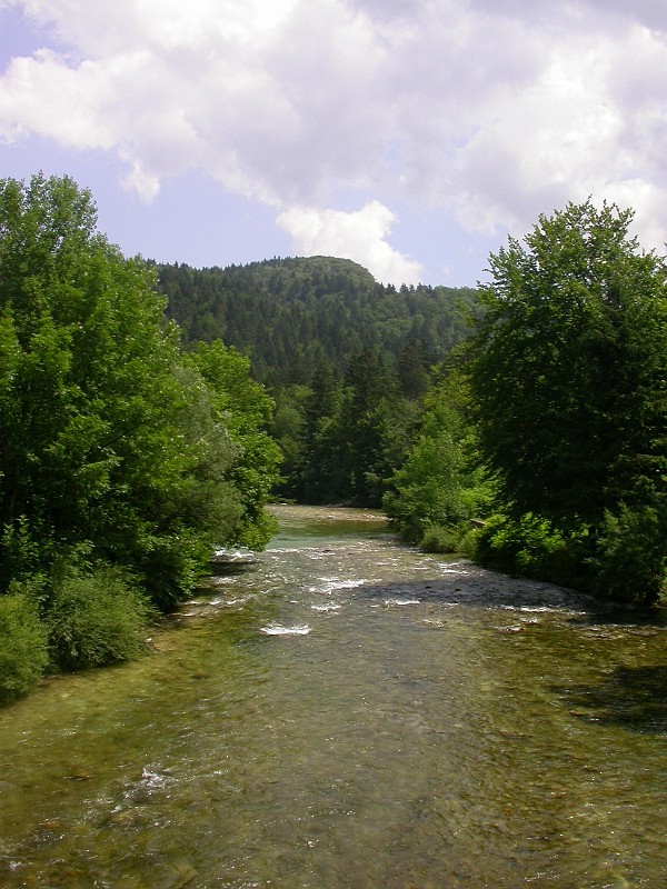 The Alps in the Bohinj Area 3.JPG